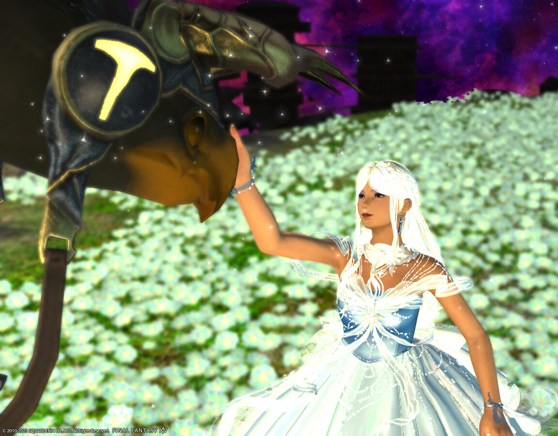 The Princess and her Noble Steed